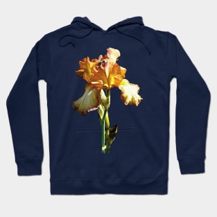 Irises - Golden Irises Hoodie